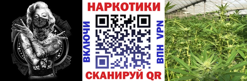 Купить наркотики Гвардейск ГАШИШ  Альфа ПВП  Мефедрон  Бошки Шишки 