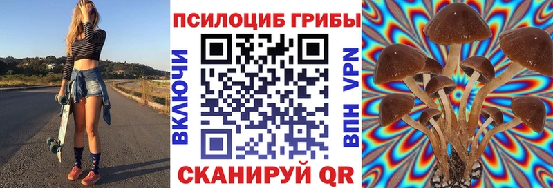 Галлюциногенные грибы прущие грибы  Гвардейск 